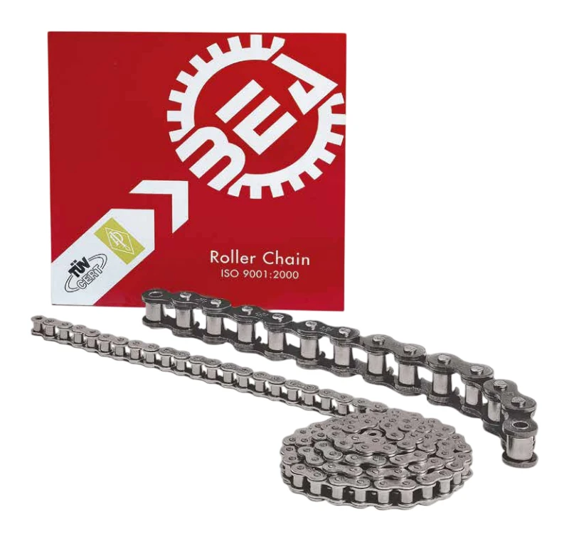 Lanturi de transmisie