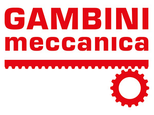 Gambini Mecanicca